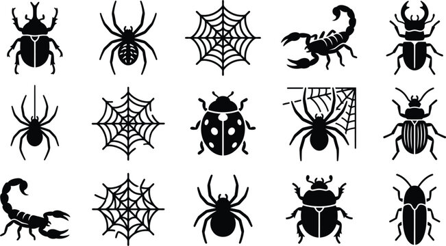 Bug and spider web silhouette set featuring ladybugs beetles scorpions and various spiders.
