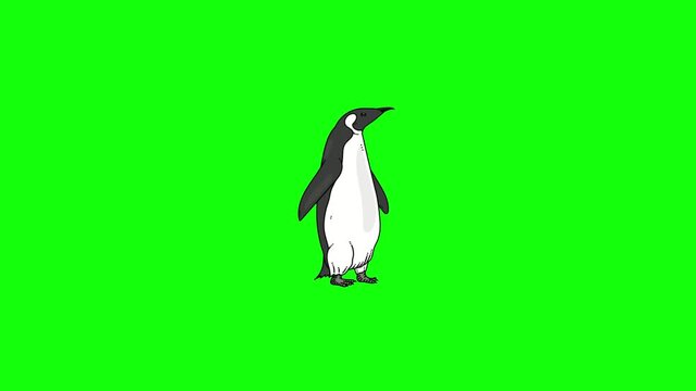A cute cartoon penguin with black back, white belly, orange beak and big round eyes stands centered on solid bright lime green background in clean vector style.