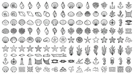Nautical line art icons set, black and white sea shell and starfish vector illustrations, marine life and ocean elements collection for summer branding © usman