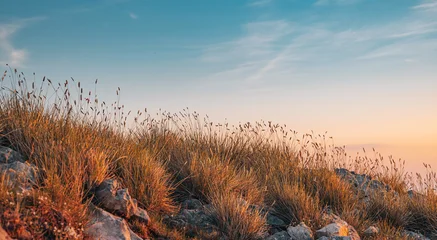 Dry grass on a rocky hill in golden hour light, with a gradient sky creating a serene nature landscape background © EdNurg