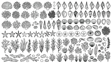 Vintage hand drawn seashell and coral collection, black and white marine life vector set, nautical underwater nature elements for summer branding © usman