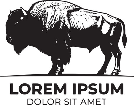 Detailed black and white ink of a standing american bison, side profile view, with placeholder text lorem ipsum below, isolated on a white background, wildlife