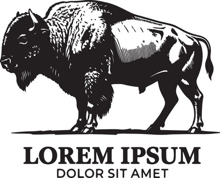 Detailed black and white ink of a standing american bison, side profile view, with placeholder text lorem ipsum below, isolated on a white background, wildlife