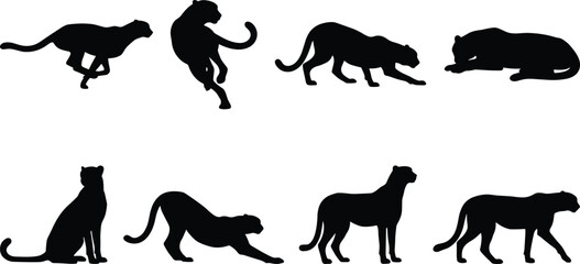 Fototapeta premium Big Cat Silhouette Set with Cheetah Leopard and Panther Wild Animal Vector Collection