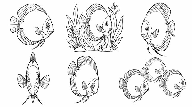 Discus Fish Set, Hand-Drawn Sketch Collection for Aquatic Design