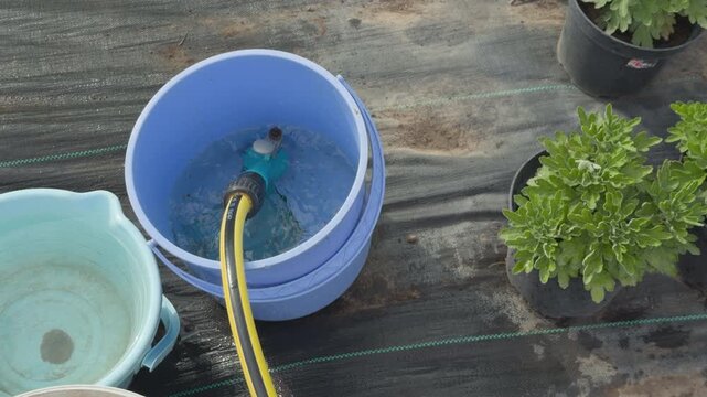 Garden hose filling blue bucket with water