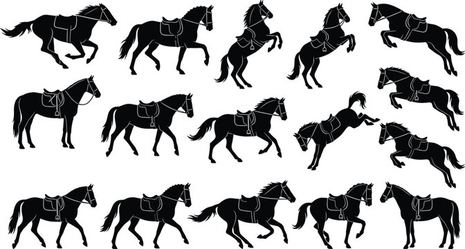 Equestrian Horse Silhouette Collection Featuring Rearing Jumping Galloping and Trotting Stallions with Saddles and Bridles for Sports Branding Logo Design Vectors