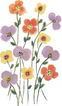Colorful Watercolor Floral Elements Set