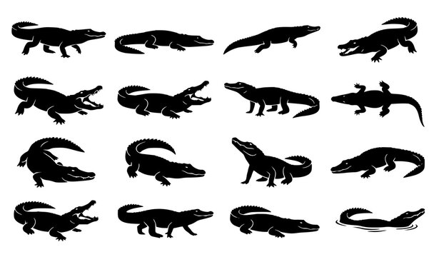 Black Crocodile Silhouette Vector Set with Multiple Wildlife Poses for Logos and Tattoos