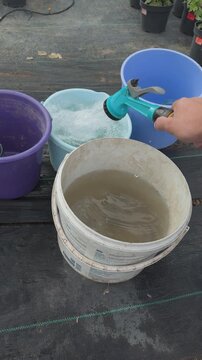 Gardener filling buckets with water from hose