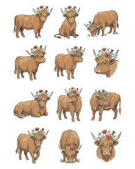 Obraz premium Highland Cow flower Crown SVG, Hand Drawn Clipart set