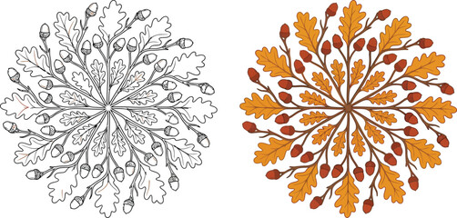 Stylized oak leaf and acorn mandala a vector illustration in both outline and warm autumn colors perfect for fall season designs and crafts © Safia