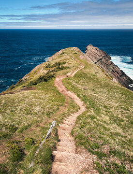 Winding dirt path leads down a grassy cliff to the sea in Newfoundland