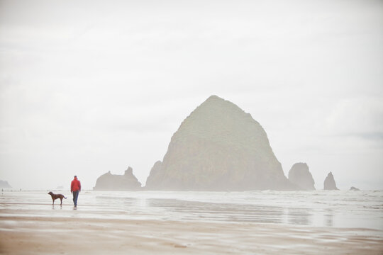Man and dog walking on a foggy beach