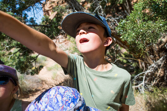 Young boy in awe pointing up at nature