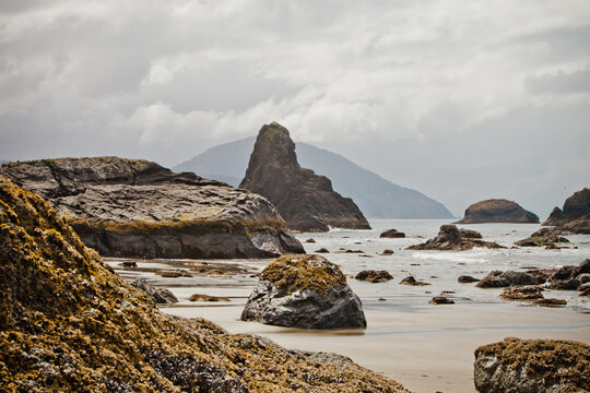 Rugged sea stacks on a misty Pacific coast beach