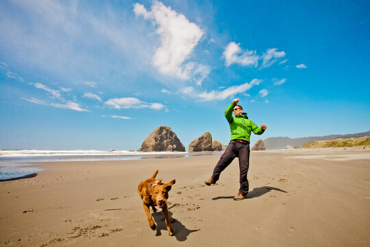 Man and his dog playing on a sunny Oregon beach