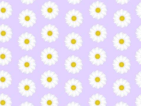 A seamless pattern on a light purple background featuring uniform repetitions of daisies (Bellis perennis). Each daisy has white petals and a vibrant yellow center, evenly spaced in a grid-like arrang