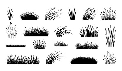 Grass and Wheat Silhouette Set, Black Vector Illustration Collection of Meadow Plants and Reeds © Nirmol