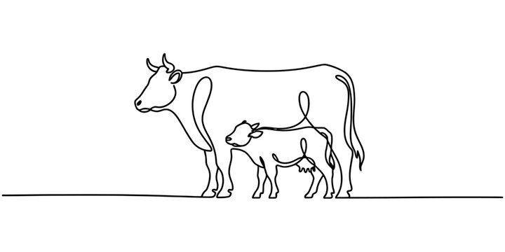 Continuous single line drawing of a mother cow and a baby calf standing together Vector, illustration
