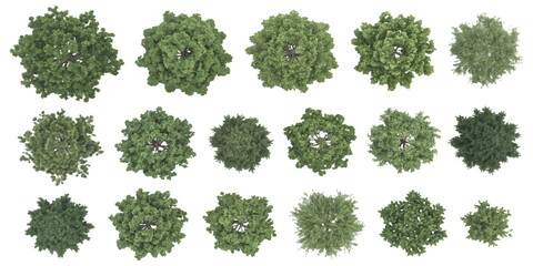 Set of green trees viewed from above for architectural landscape design and garden planning site map plans © ZenVectors