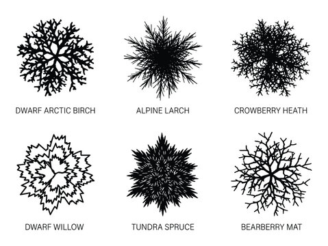 Tundra plant symbols set in black and white, top-down view for site plan design, landscape architecture, and environmental mapping