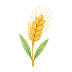 Obraz premium PNG Watercolor wheat illustration with leaves.