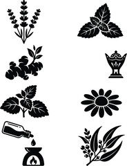 Aromatherapy and herbal medicine icon set vector featuring lavender mint ginger chamomile eucalyptus and essential oil diffuser © pappa