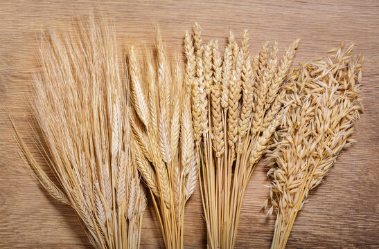 Mixed ripe ears of cereals. Wheat ears, rye, barley and oats on wooden background, top view