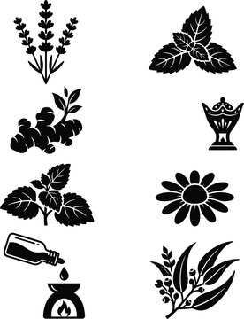 Aromatherapy and herbal medicine icon set vector featuring lavender mint ginger chamomile eucalyptus and essential oil diffuser