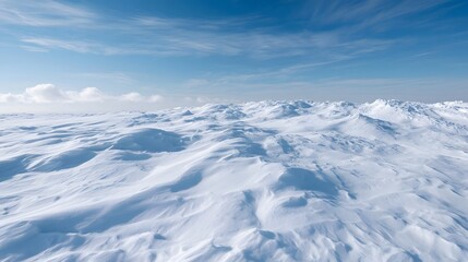Fototapeta premium A vast snowy landscape under a bright blue sky with wispy clouds and wind sculpted snow ridges stretching to the horizon