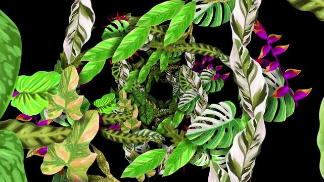 Tropical Flowers 01