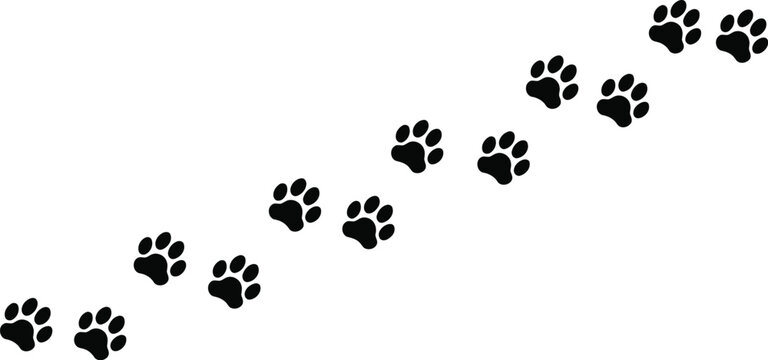 Simple black vector illustration showing a sequence of animal paw prints walking across a surface