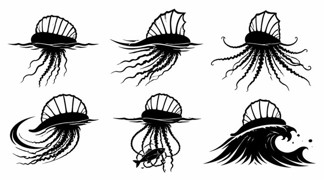Portuguese Man o' War Silhouettes Set, Marine Life Vector Illustration