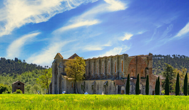 Kirchenruine der Zisterzienserabtei San Galgano, Abbazia San Galgano, Gotik, Chiusdino, Toskana, Italien