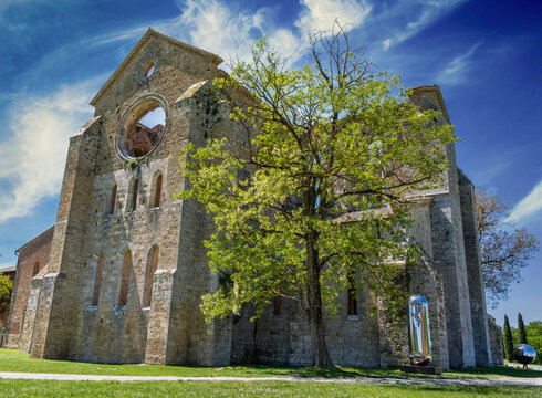 Kirchenruine der Zisterzienserabtei San Galgano, Abbazia San Galgano, Gotik, Chiusdino, Toskana, Italien