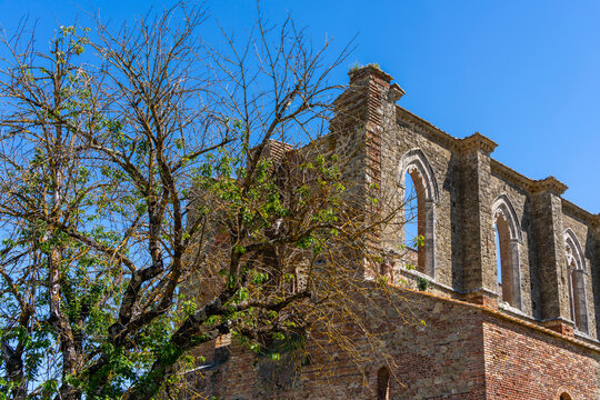 Kirchenruine der Zisterzienserabtei San Galgano, Abbazia San Galgano, Gotik, Chiusdino, Toskana, Italien