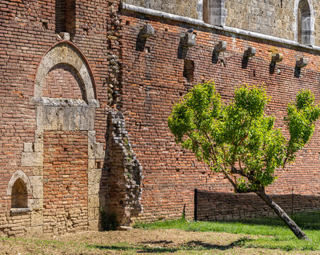 Kirchenruine der Zisterzienserabtei San Galgano, Abbazia San Galgano, Gotik, Chiusdino, Toskana, Italien