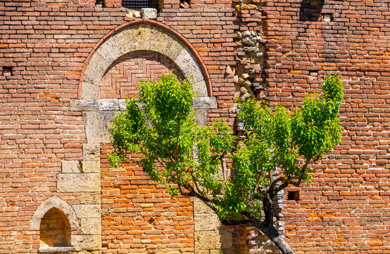Kirchenruine der Zisterzienserabtei San Galgano, Abbazia San Galgano, Gotik, Chiusdino, Toskana, Italien