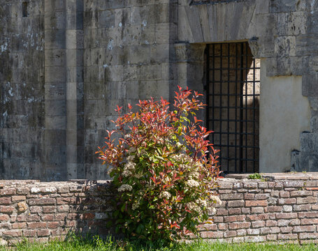 Kirchenruine der Zisterzienserabtei San Galgano, Abbazia San Galgano, Gotik, Chiusdino, Toskana, Italien