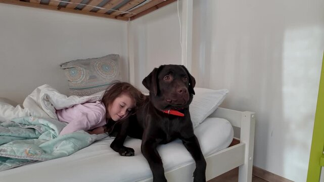 Girl Cuddling Chocolate Labrador Retriever on Bed at Home, Cozy Morning Family Bond. Child and Pet Friendship