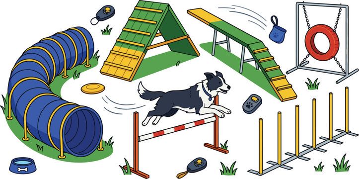 Isometric dog agility course vector illustration featuring a border collie jumping a hurdle over hurdles tunnels weave poles a-frames dog walk and tire jump
