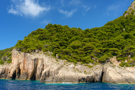 Green forest covering rocky sea cliffs and caves