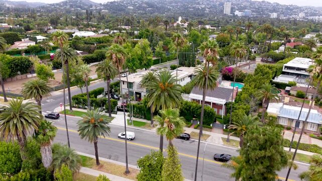 aerial over palms in beverly hills california