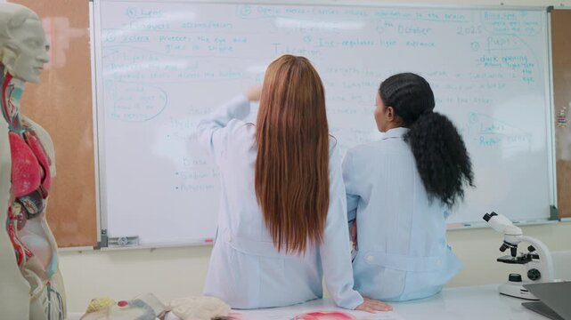 Two medical students working together to prepare an anatomy lesson on a whiteboard for classroom teaching. Medical education, anatomy instruction, collaborative learning, lesson planning