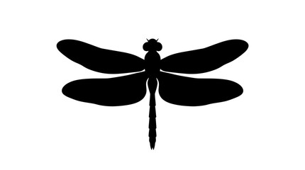 Dragonfly silhouette against a white background simple insect outline © Creator Rima Akter