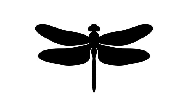 Dragonfly silhouette against a white background simple insect outline