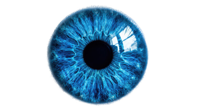 Close up of a human blue eye iris isolated on transparent background