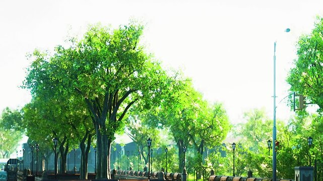 In the park, many green trees stand tall alongside benches for people to sit. The scene shows a bright daytime with clear skies and a peaceful atmosphere.
