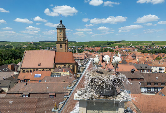 Aerial View of Volkach with a Stork's Nest in Franconia, Bavaria, Germany